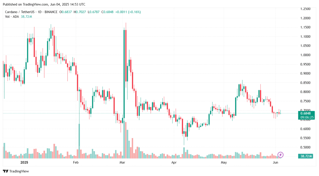 Cardano