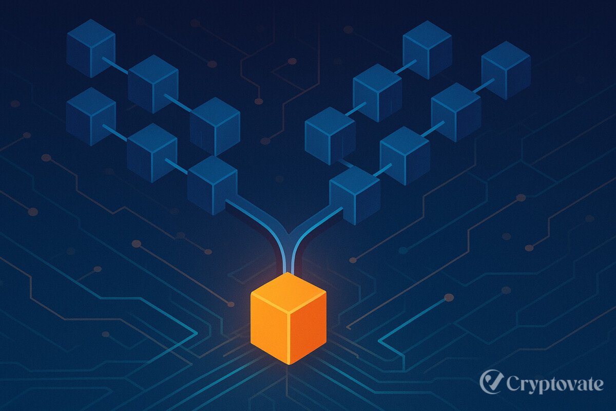 Blockchain Fork