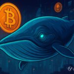 Crypto Whales