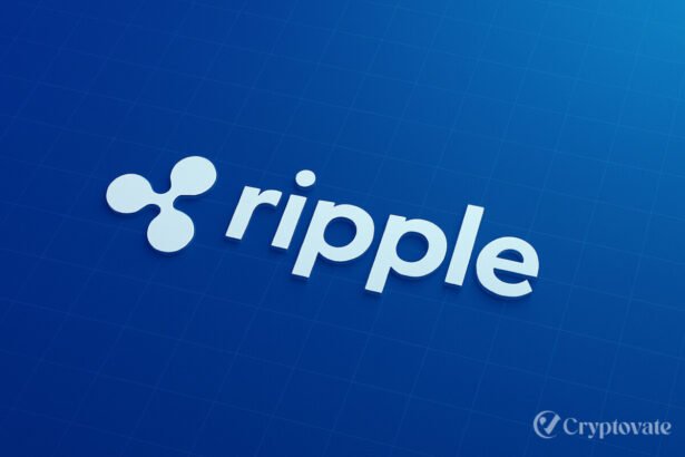 Ripple Acquires Rail